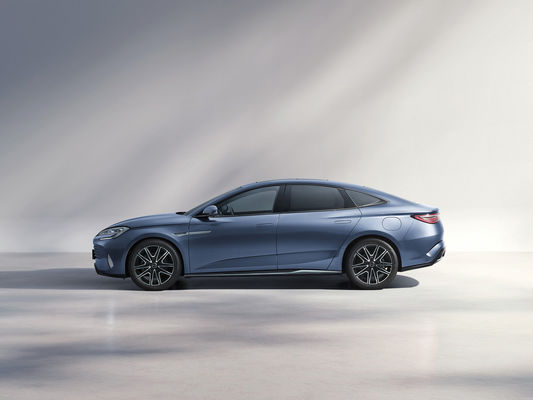 주문 ISO10012 Certified Automobile EV for in White Black Gray or Blue 온라인 제조